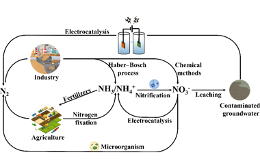 Perspective of Nitrate Reduction and Nitrogen Neutral Cycle  2023.0002